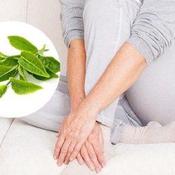 Cách trị viêm nhiễm phụ khoa tại nhà bằng lá chè xanh 