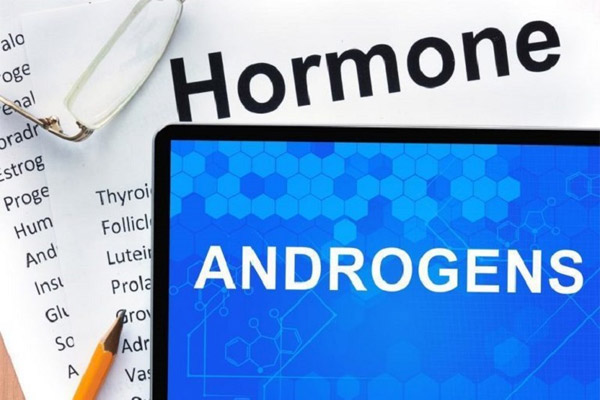 Hàm lượng nội tiết tố androgen được sản xuất ra quá mức